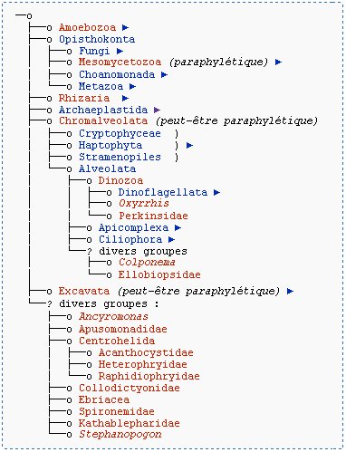 File:Eukaryota Classification proposée par Adl et al.jpg