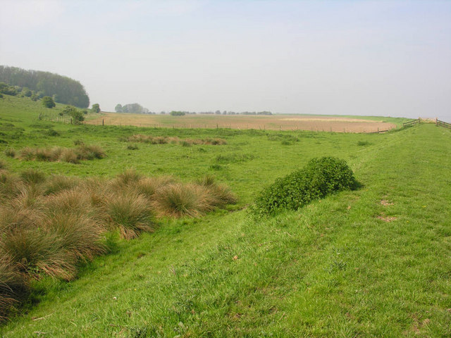 File:Flood bank west of Whitton - geograph.org.uk - 801521.jpg