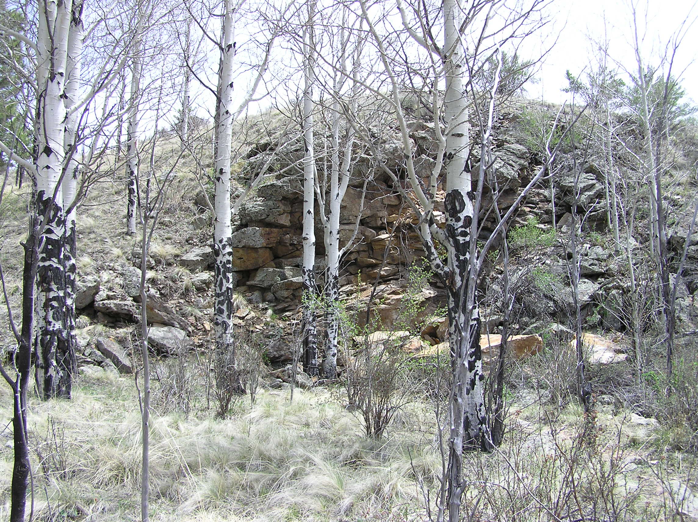 https://upload.wikimedia.org/wikipedia/commons/d/dd/Florissant_Fossil_Beds_National_Monument_PA272525.jpg