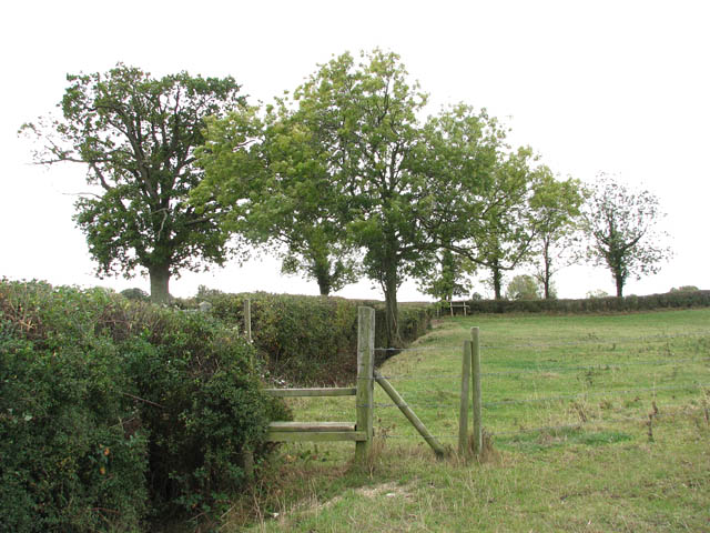 File:Footpath from Stoke Holy Cross to Upper Stoke - geograph.org.uk - 1539670.jpg