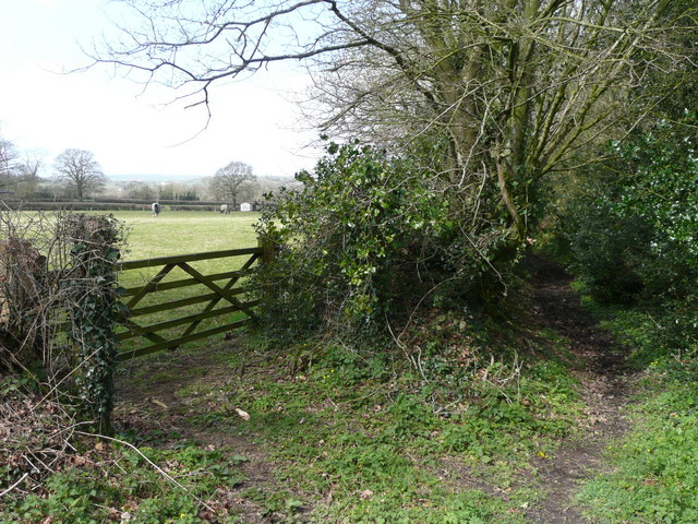 File:Footpath to Woodhayne Barton - geograph.org.uk - 747013.jpg