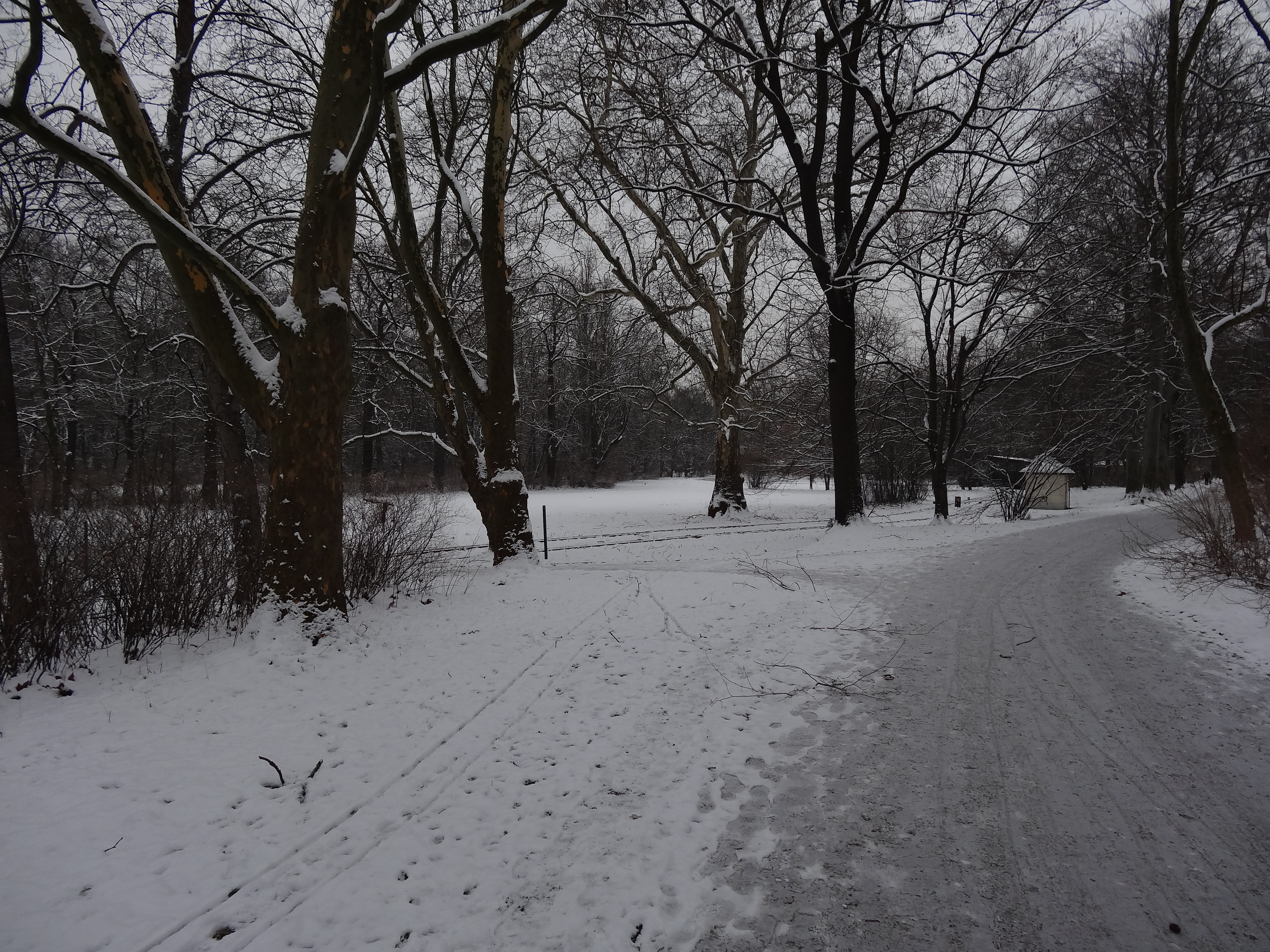 File Grosser Garten Dresden In Winter 1116 Jpg Wikimedia Commons