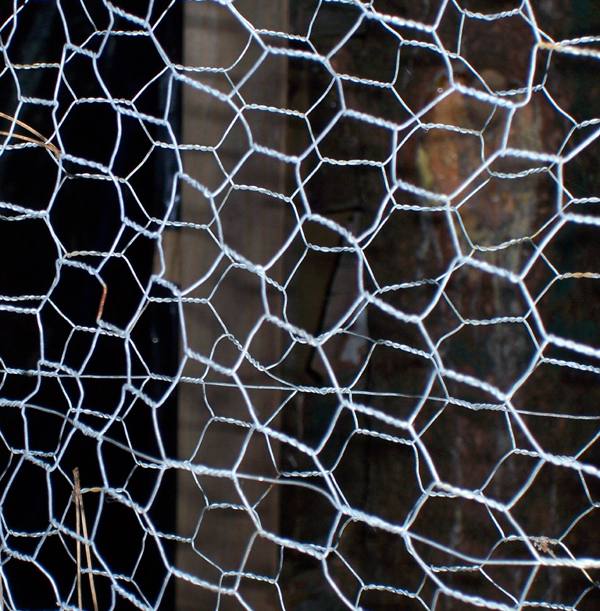 Mareo Sueño Nylon Archivo:Image-Chicken wire.jpg - Wikipedia, la enciclopedia libre