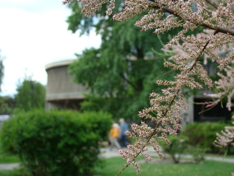 File:KALISZ majowe obrazki 85 - panoramio.jpg