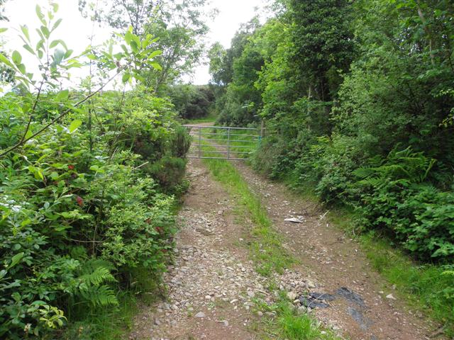 File:Lane, Ballycallan - geograph.org.uk - 1918139.jpg