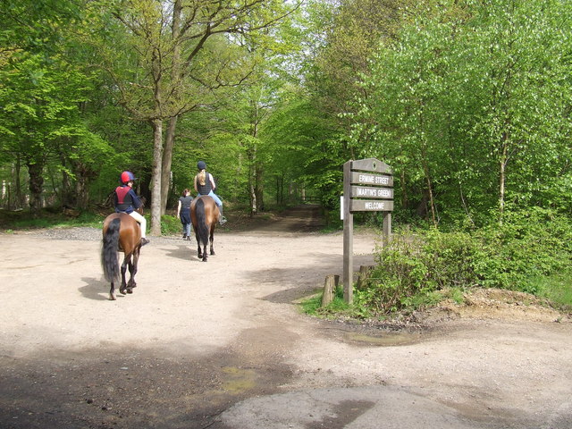 File:Martin's Green Car Park, Ermine Street - geograph.org.uk - 787114.jpg