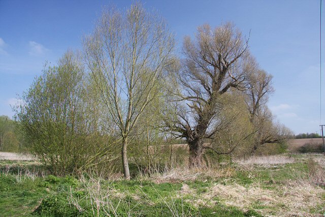 File:No Man's Meadows - geograph.org.uk - 775159.jpg