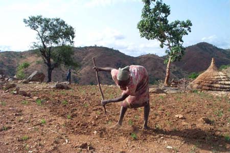 File:Nuba farming 1.jpg