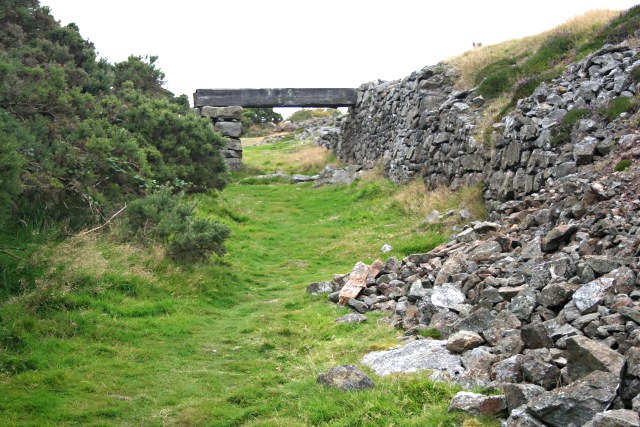 File:On the Gonamena Incline - geograph.org.uk - 549718.jpg