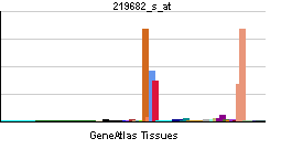 File:PBB GE TBX3 219682 s at tn.png