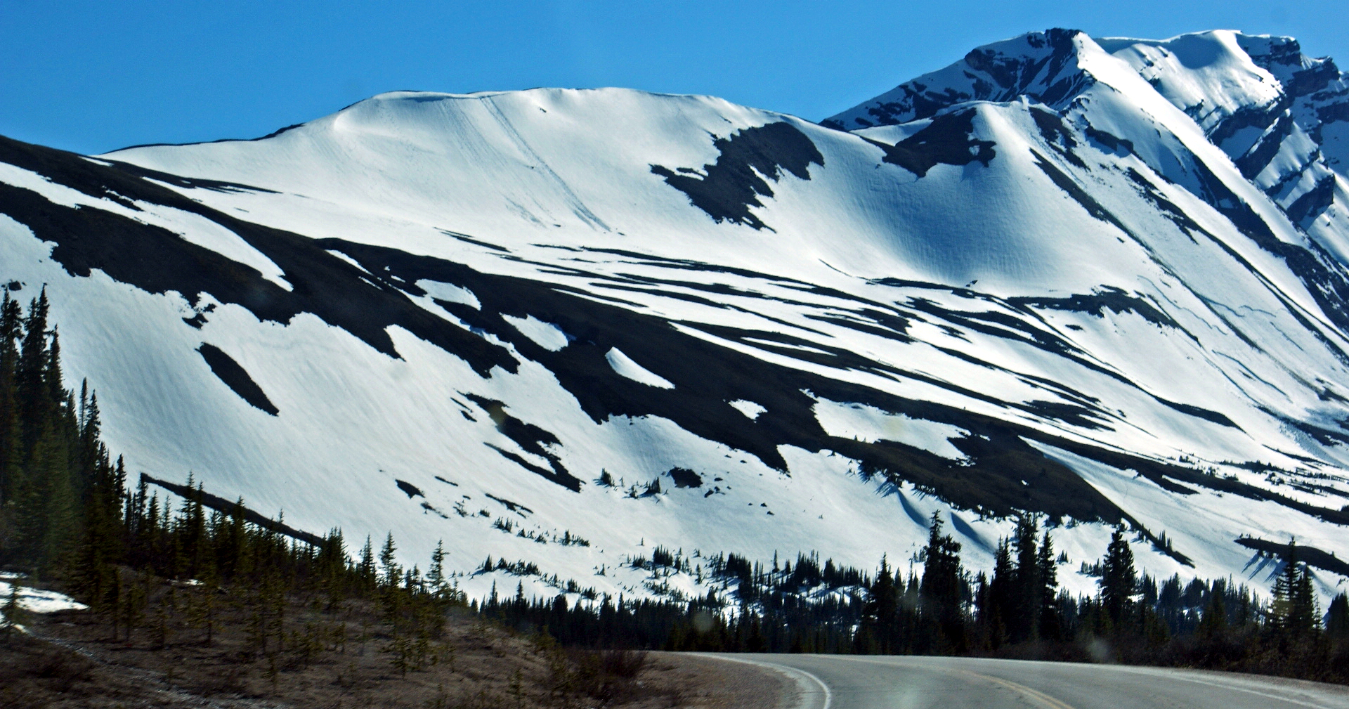Parker Ridge from Icefields Parkway.jpg
