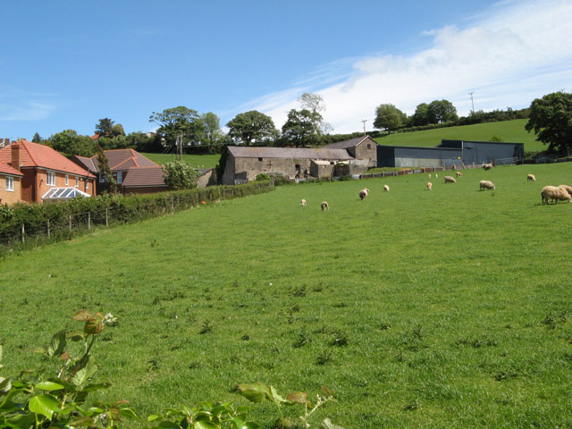 File:Pasture by Fferm Peulwys - geograph.org.uk - 2423503.jpg