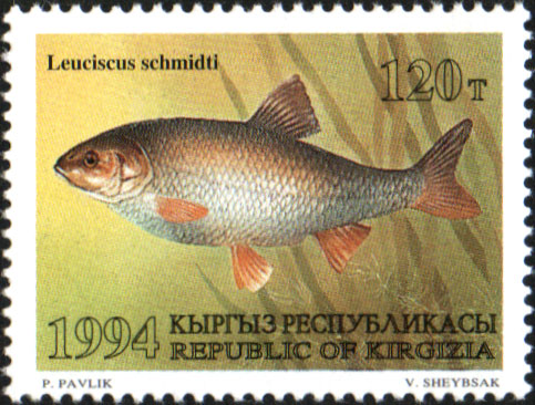 File:Stamp of Kyrgyzstan 045.jpg