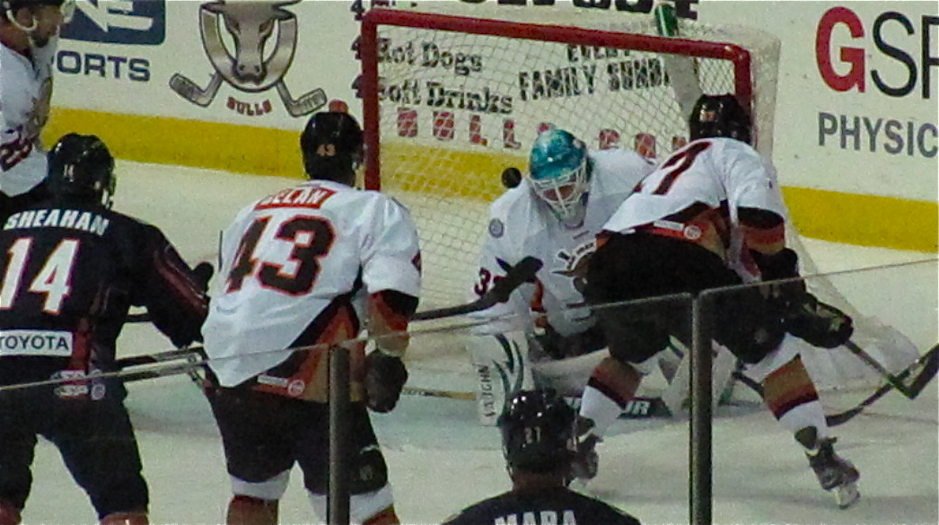 san francisco bulls jersey