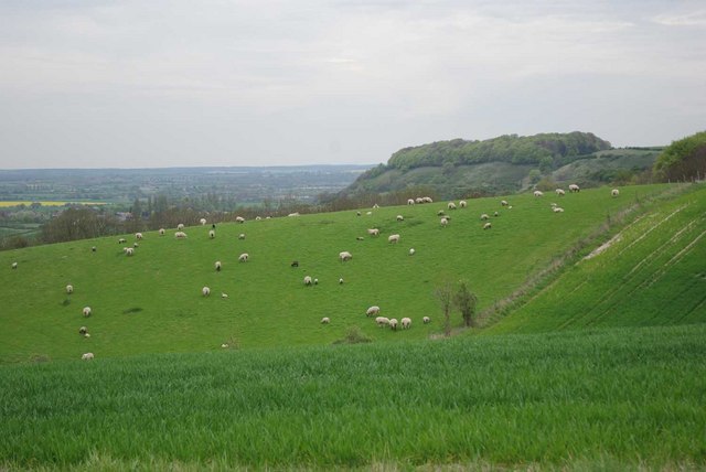 Towards Sharpenhoe Clappers - geograph.org.uk - 1835539