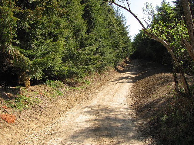 Upgraded road, Bringewood - geograph.org.uk - 2055857