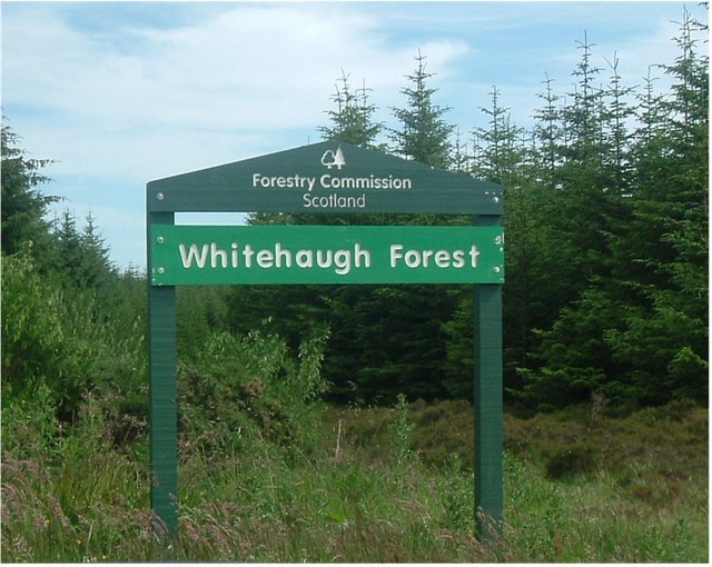 File:Whitehaugh Forest - geograph.org.uk - 258612.jpg