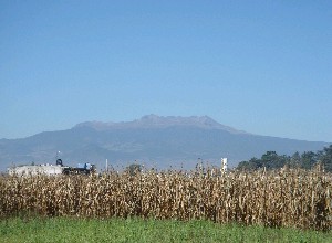 Looking at the Nevado de Toluca from a cornfield Xinantecatel.JPG
