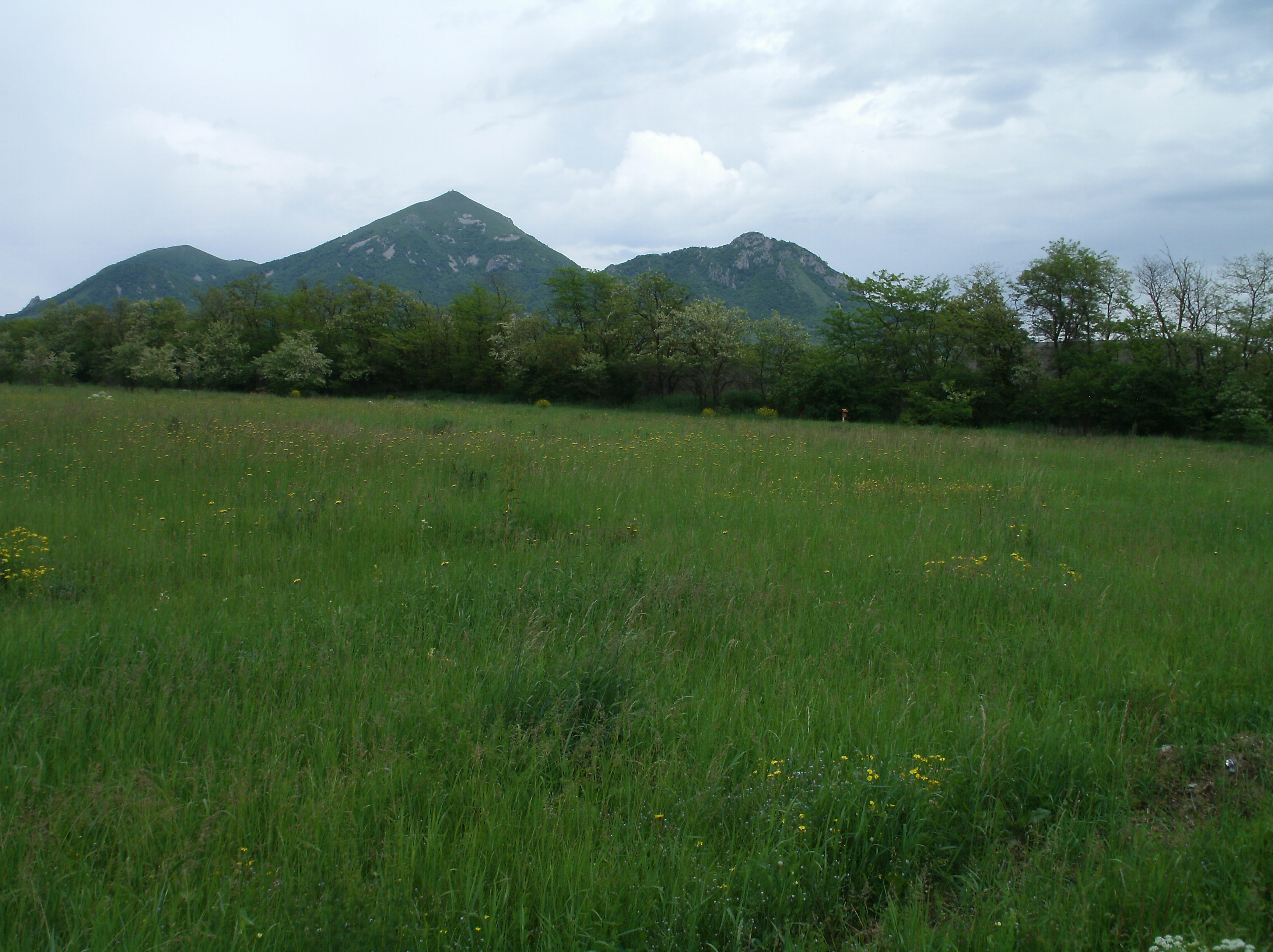 Заказник гора Бештау