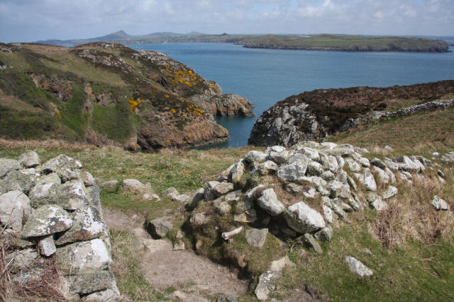 File:Above Abermyharan, Ramsey Island - geograph.org.uk - 1868737.jpg