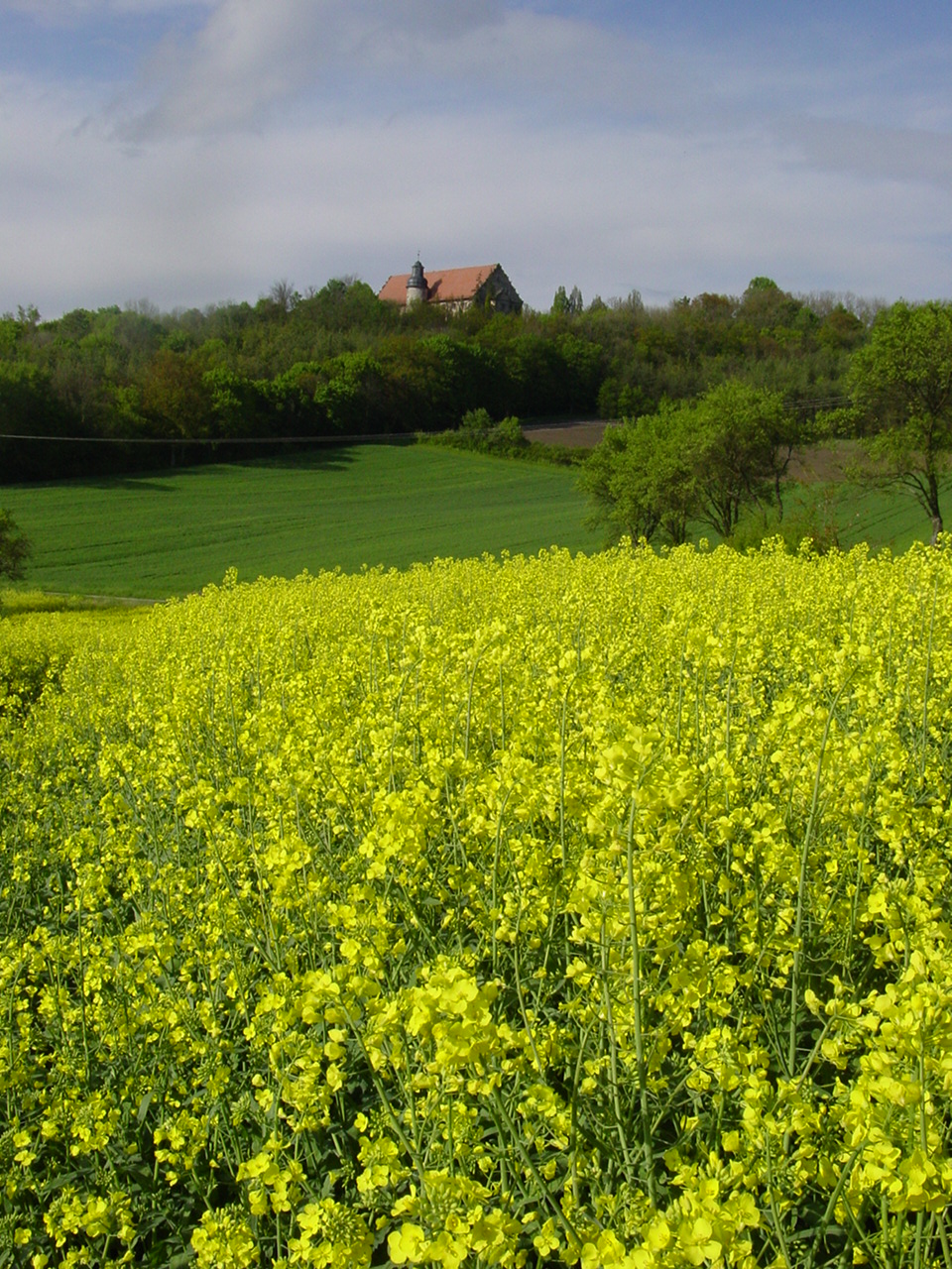 Schloß Bettenburg, Hofheim i. UFr., Landkreis Haßberge; selbst aufgenommen; Mai 2005