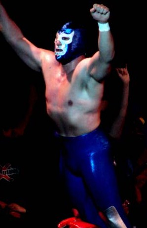 <span class="mw-page-title-main">El Castillo del Terror (2005)</span> 2005 International Wrestling Revolution Group event