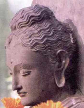 Die Reden des Buddha Gruppierte Sammlung Samyutta-nikaya 