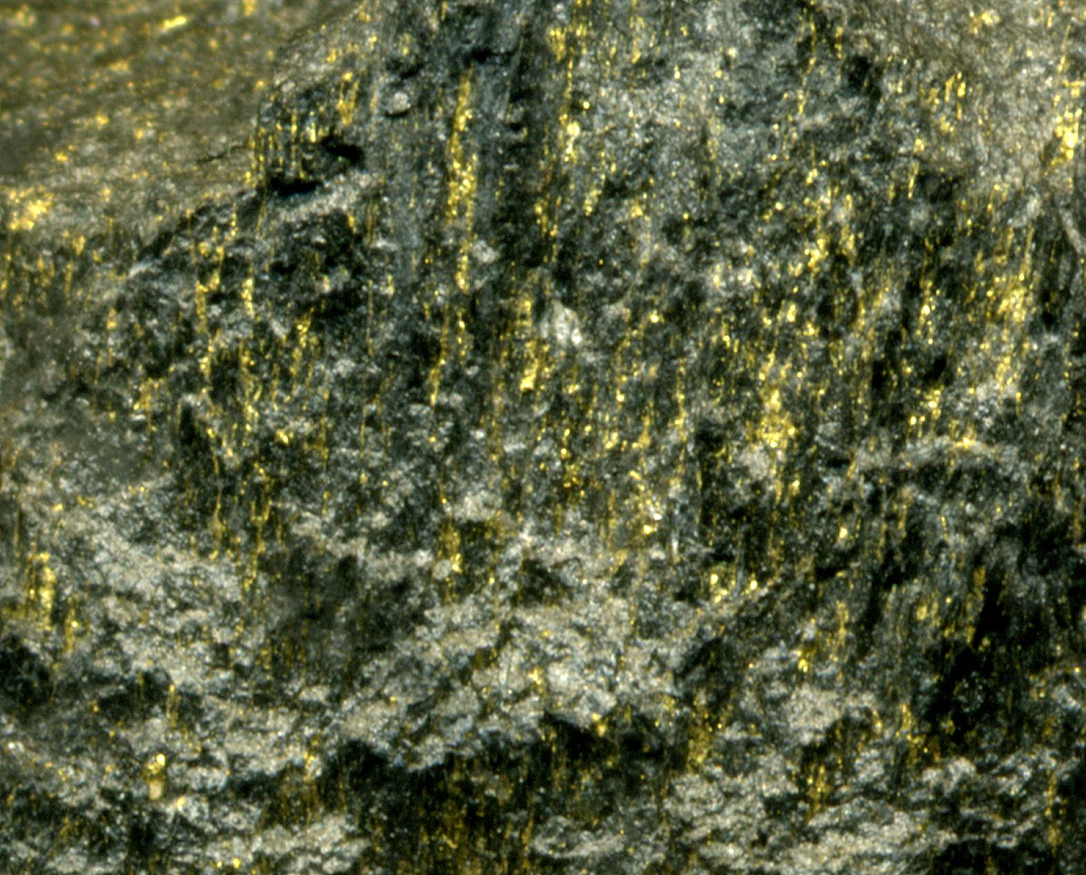 Carbon_Leader_Gold_Ore,_Witwatersrand_So