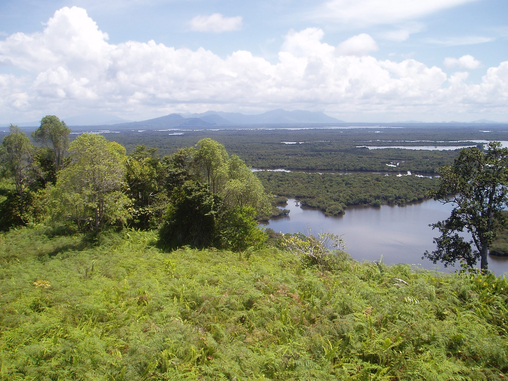 Lake Sentarum National Park  Wikipedia