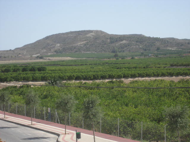 Postea y te asigno un municipio de la provincia de Alicante