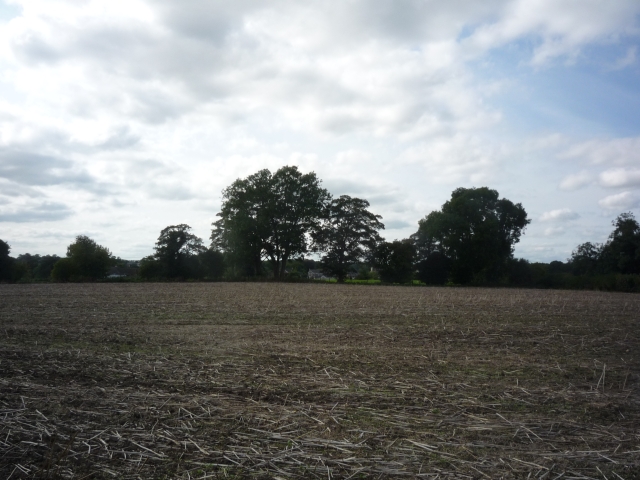 File:Field of stubble - geograph.org.uk - 2963873.jpg