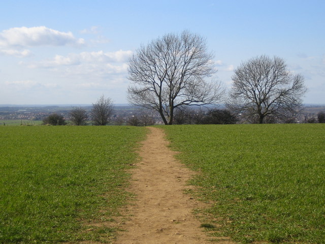 File:Footpath, Bracebridge Heath - geograph.org.uk - 364077.jpg