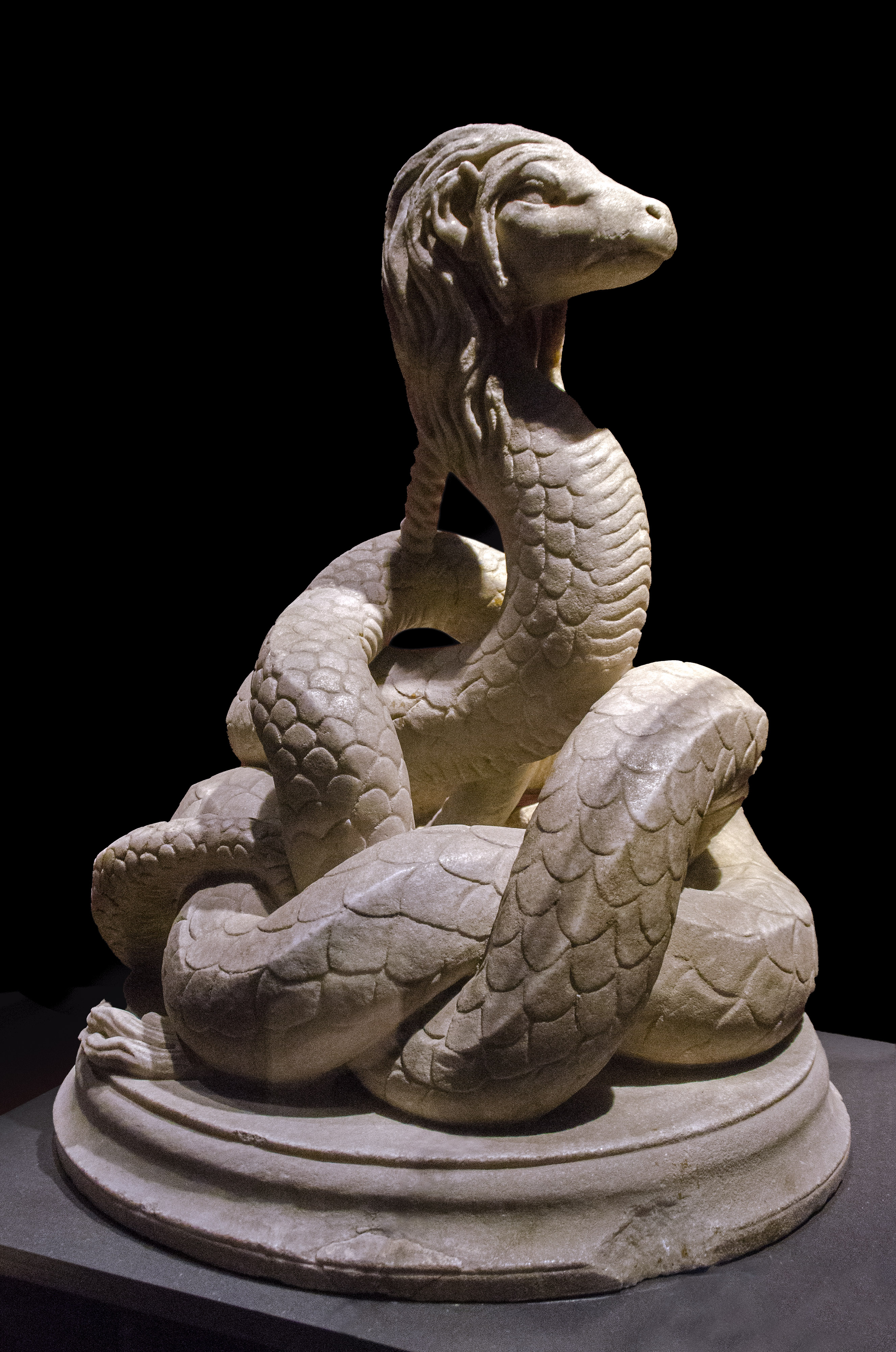 Snakes in Myth, Magic, and History: The Story of a Human Obsession