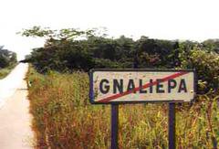 Gnaliepa