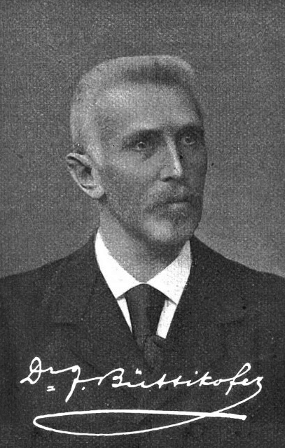 Johann Büttikofer in 1908