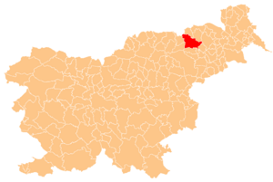 The location of the City Municipality of Maribor