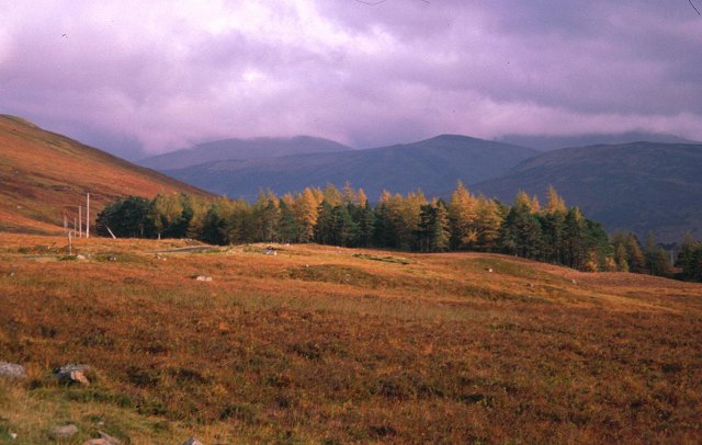 File:Lochs Road - geograph.org.uk - 36372.jpg