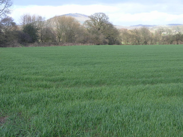 File:Old Railway Older Volcano - geograph.org.uk - 352945.jpg