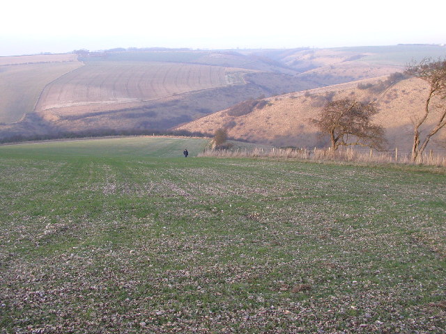 On the Minster Way - geograph.org.uk - 10759