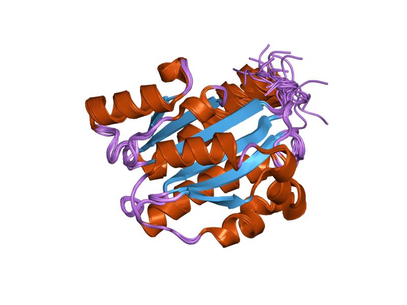 File:PDB 1dgq EBI.jpg