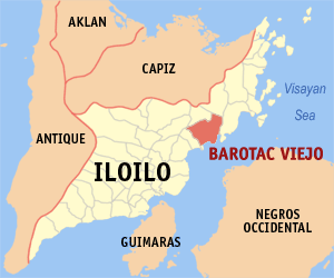 <span class="mw-page-title-main">Barotac Viejo</span> Municipality of the Philippines in the province of Iloilo