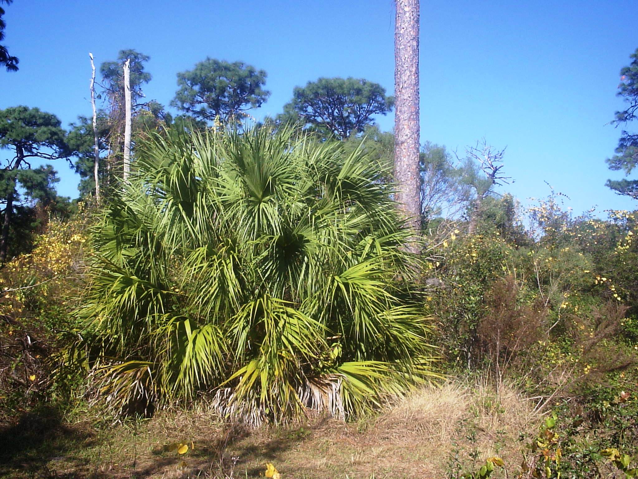 Photo of The Florida Botanical Gardens