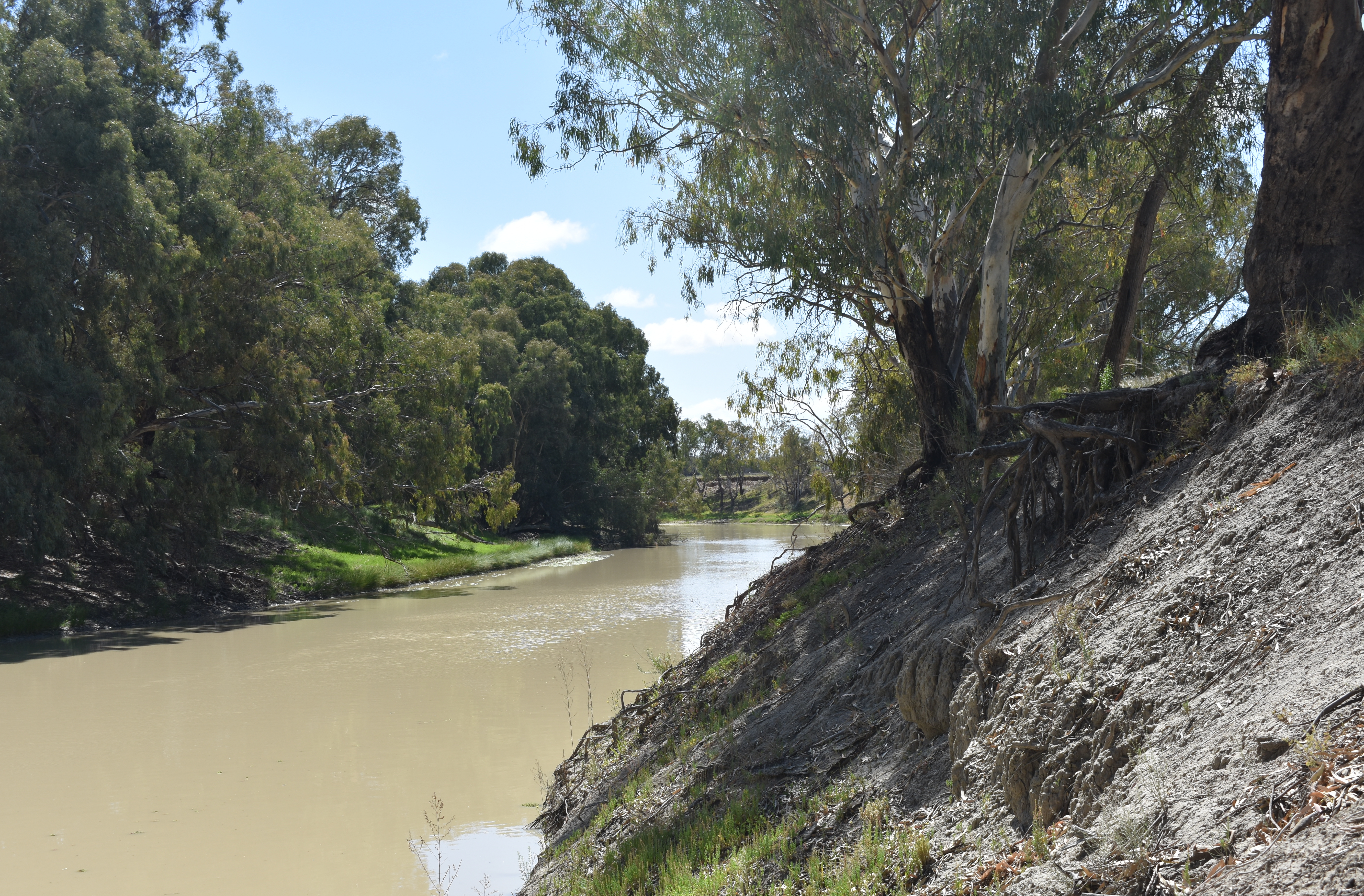 Река дарлинг полноводна круглый. Река Дарлинг. Глубина реки Дарминг Австралии. Река Дарлинг пересыхает.