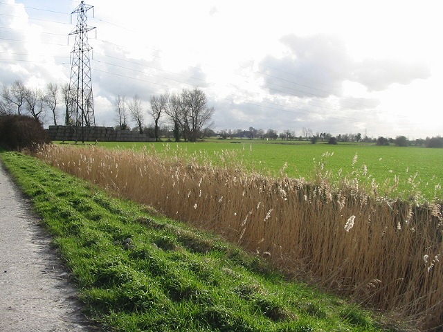 File:Road, verge, ditch, field - geograph.org.uk - 351587.jpg