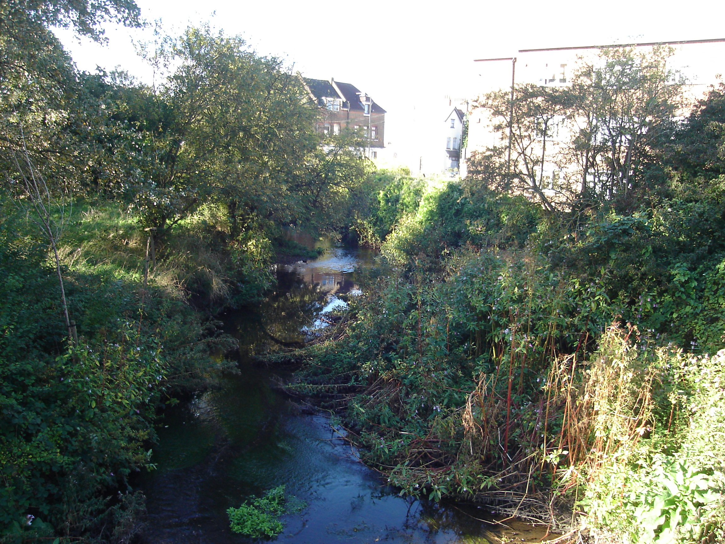 River lea