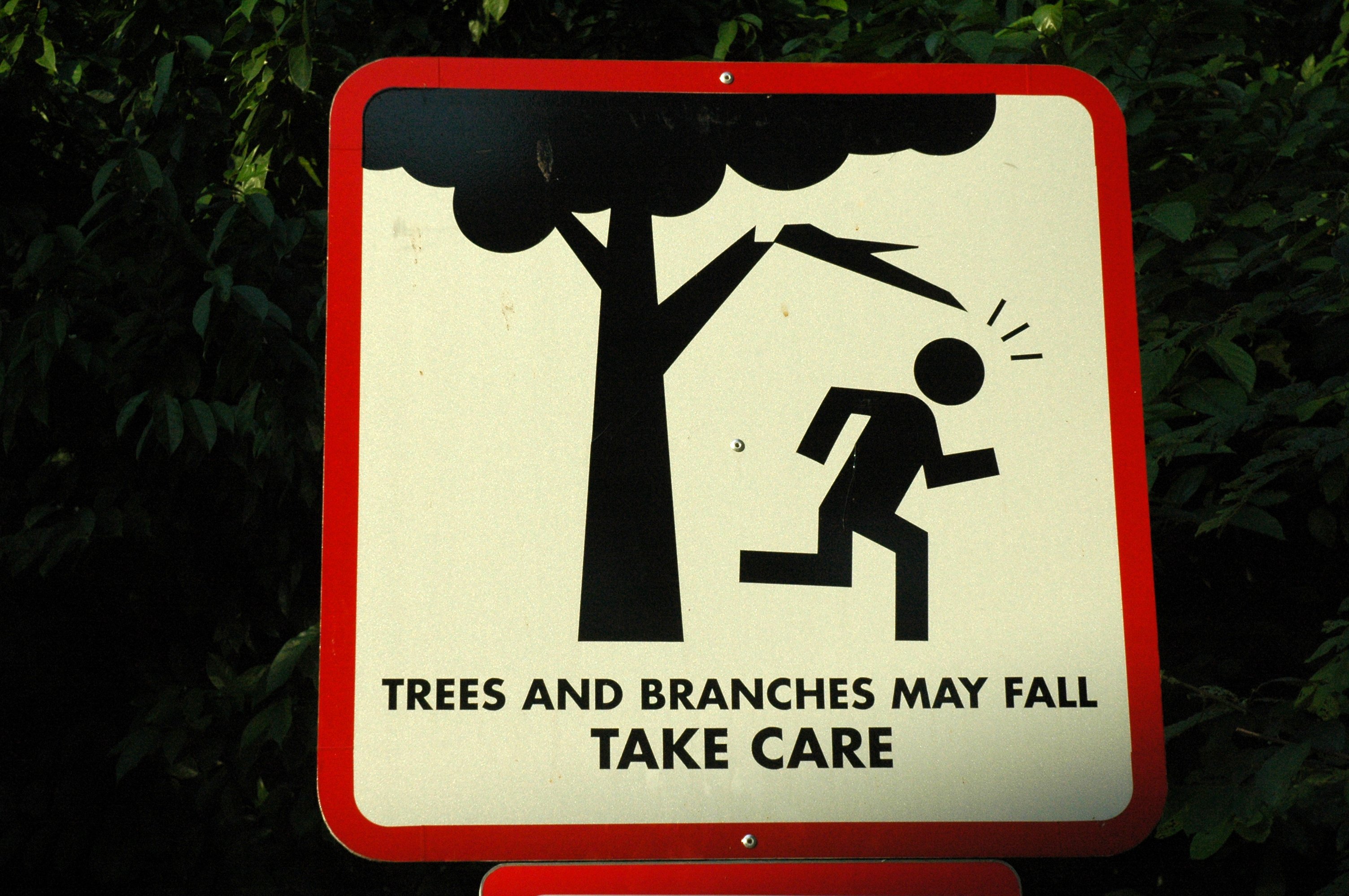 Take the fall. Silly friend -. What silly. What is silly sign.