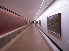 <span class="mw-page-title-main">Grand Rapids Medical Corridor North Pedestrian Tunnel</span>