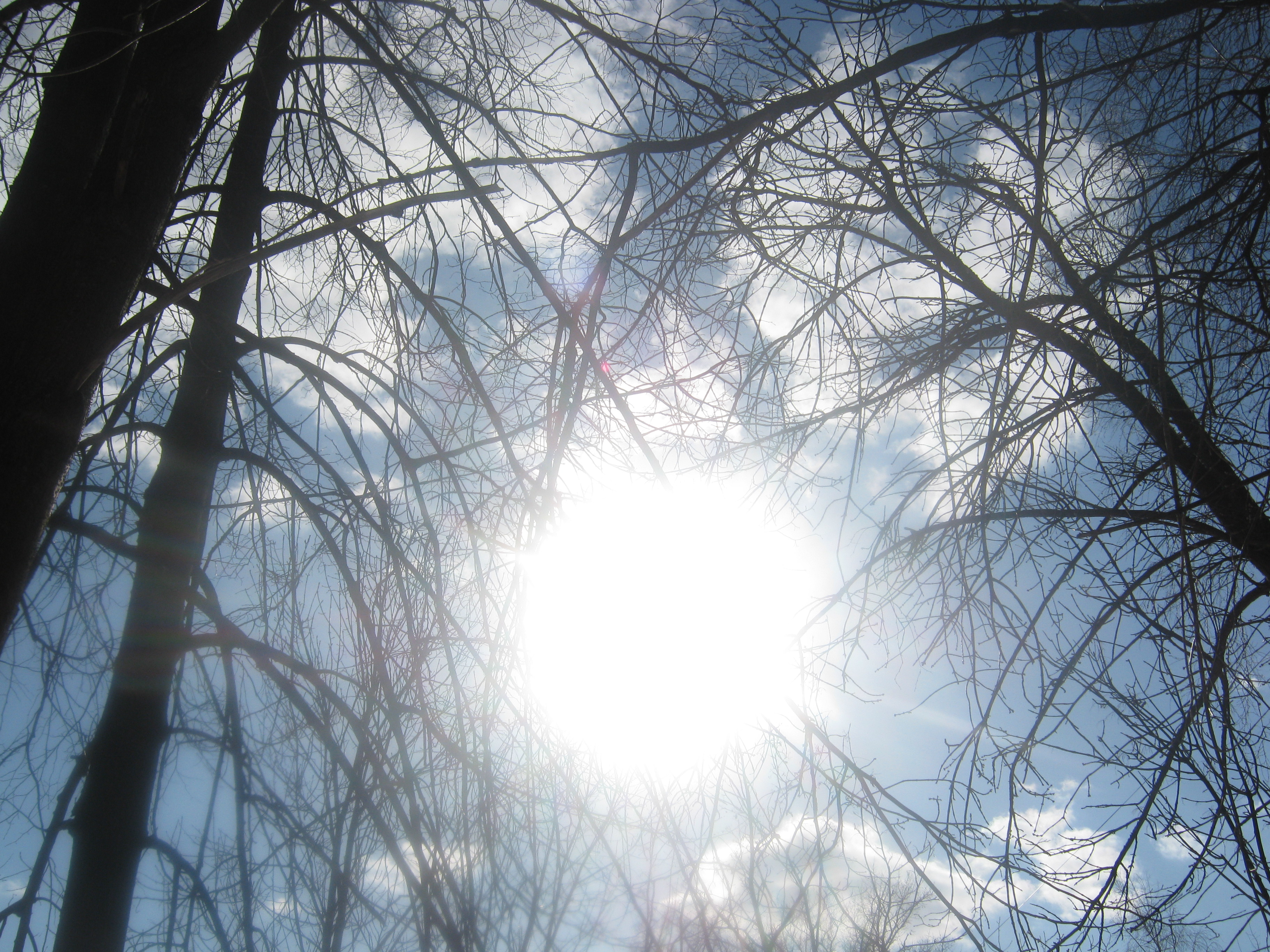 10 апреля солнце. Бледное солнце февраля. Прозрачное солнце февраля. Хатунь февраль солнце.