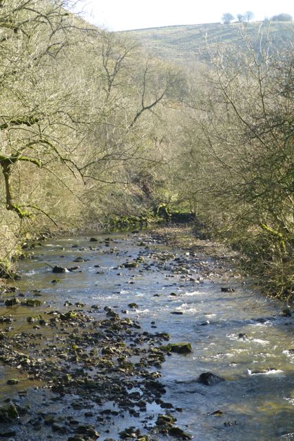 File:The River Hamps - geograph.org.uk - 3334608.jpg - Wikimedia ...