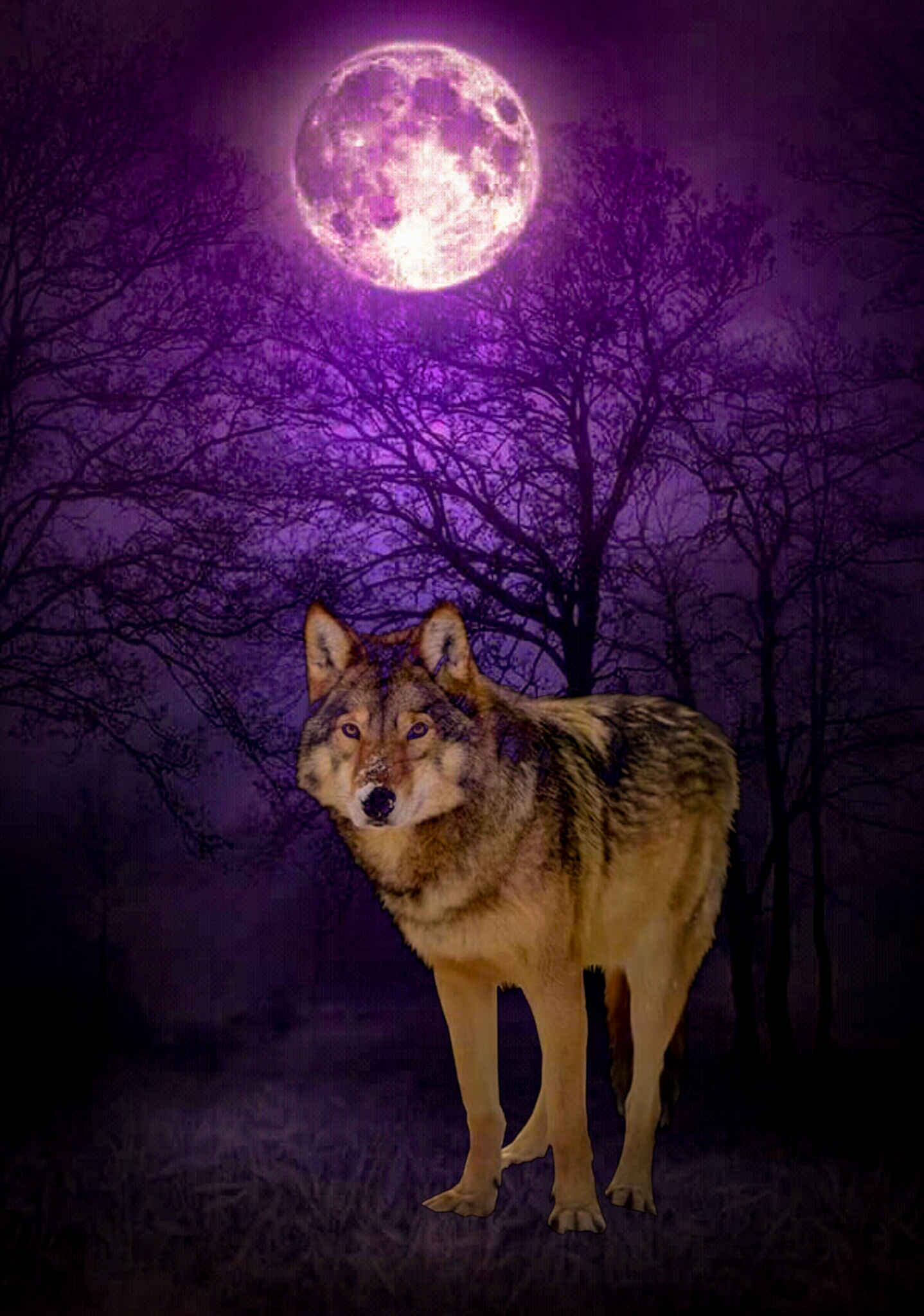 purple moon wolf